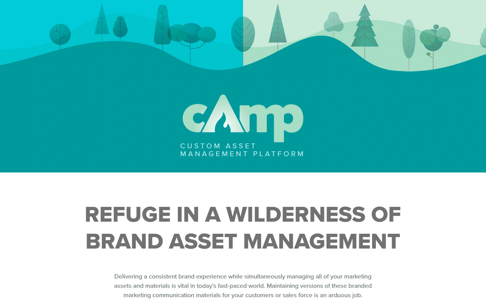 CAMP: Custom Asset Management Platform