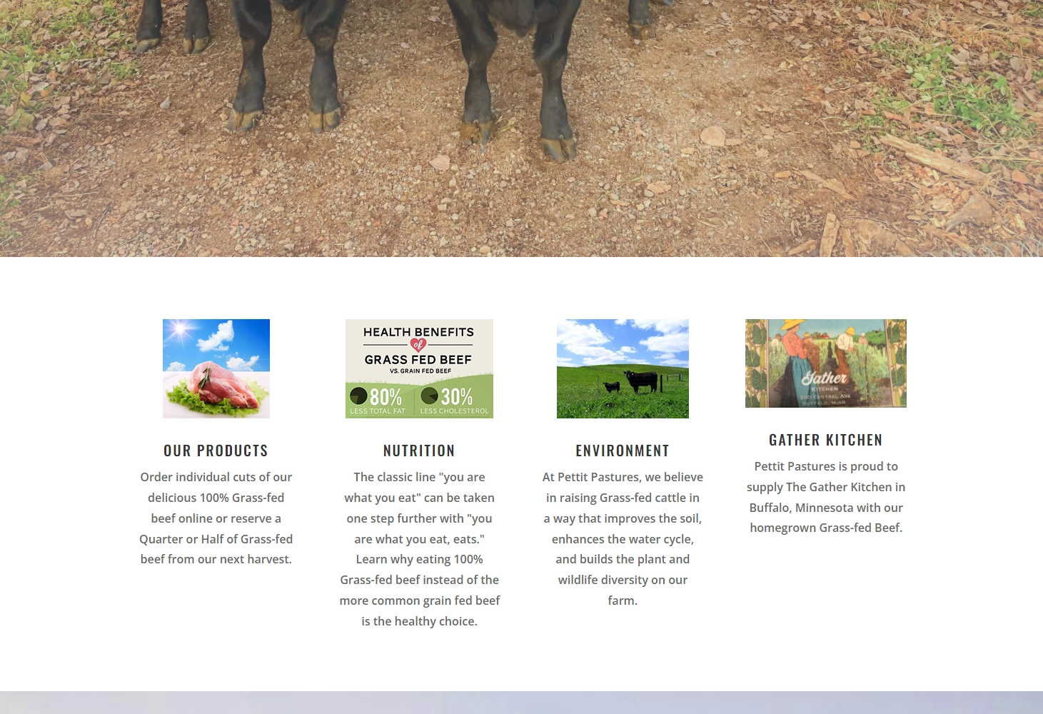 Petit Pastures WordPress Website Development
