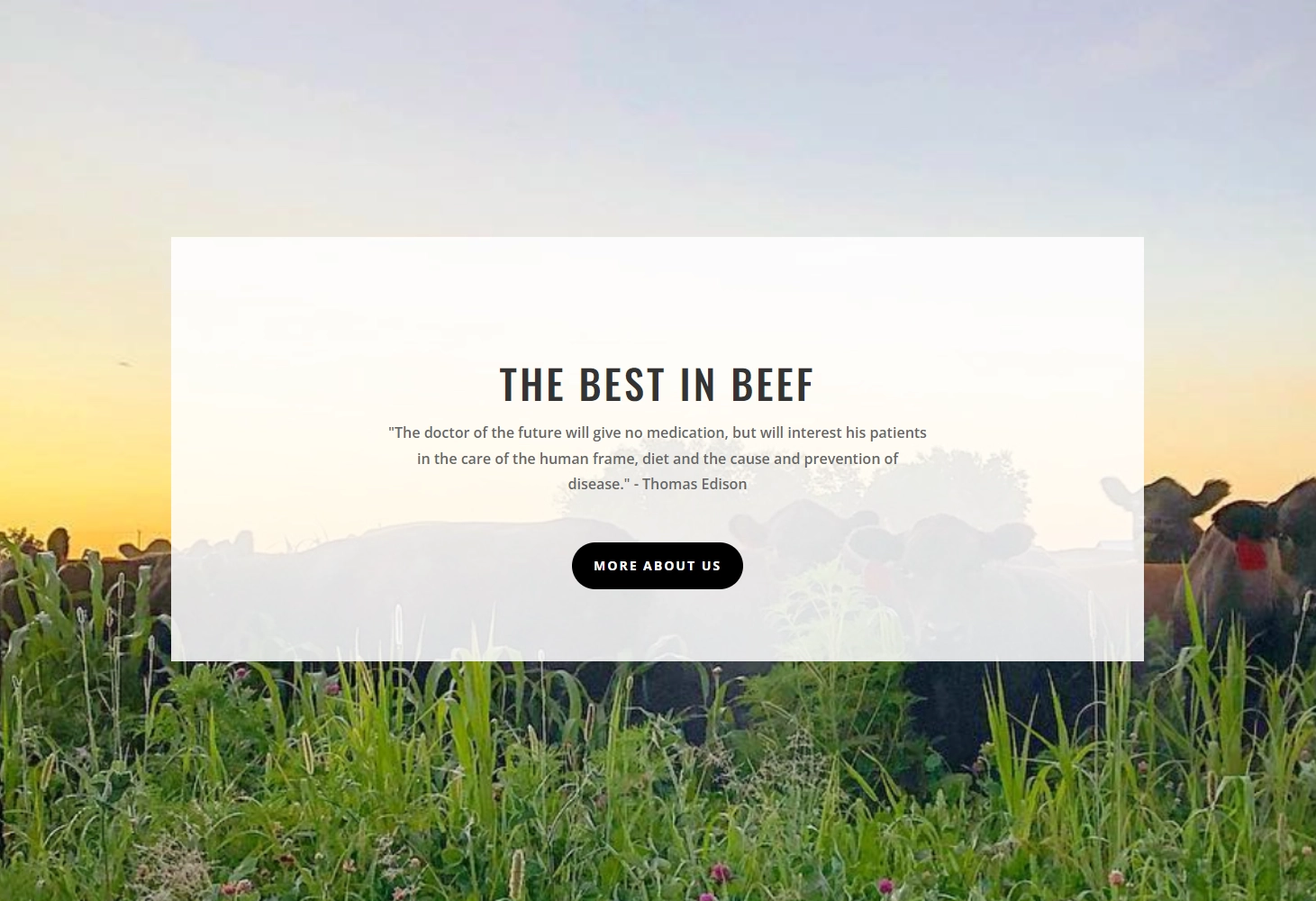 Petit Pastures WordPress Website Development