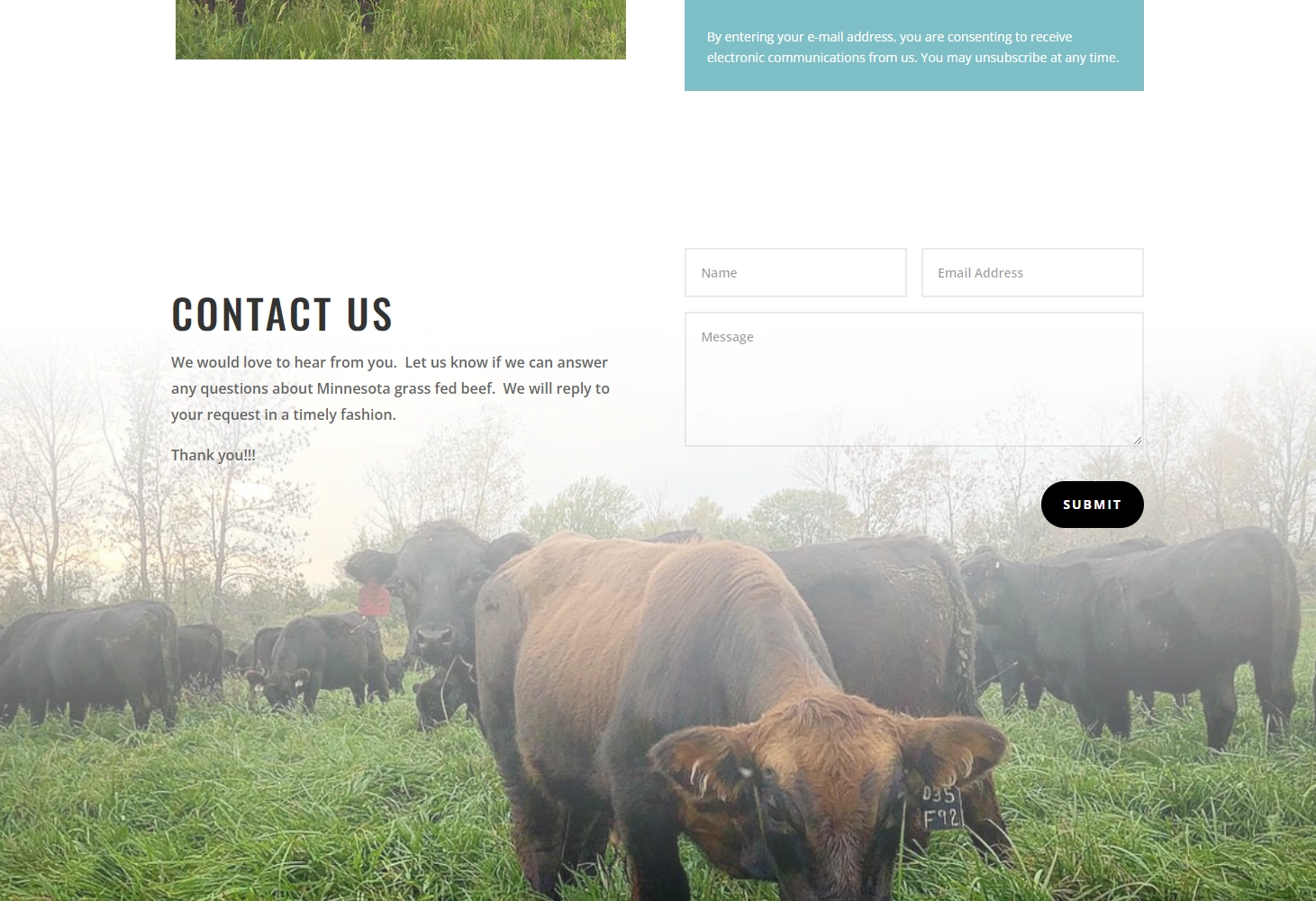 Petit Pastures WordPress Website Development