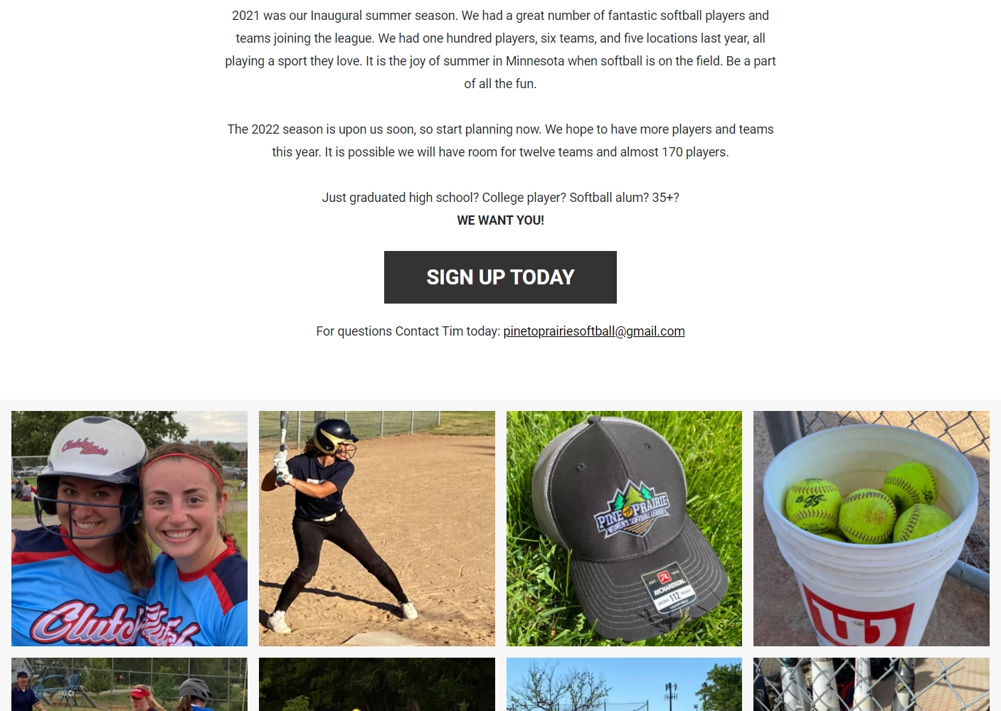Pine to Prairie Women’s Softball League WordPress Website Concept
