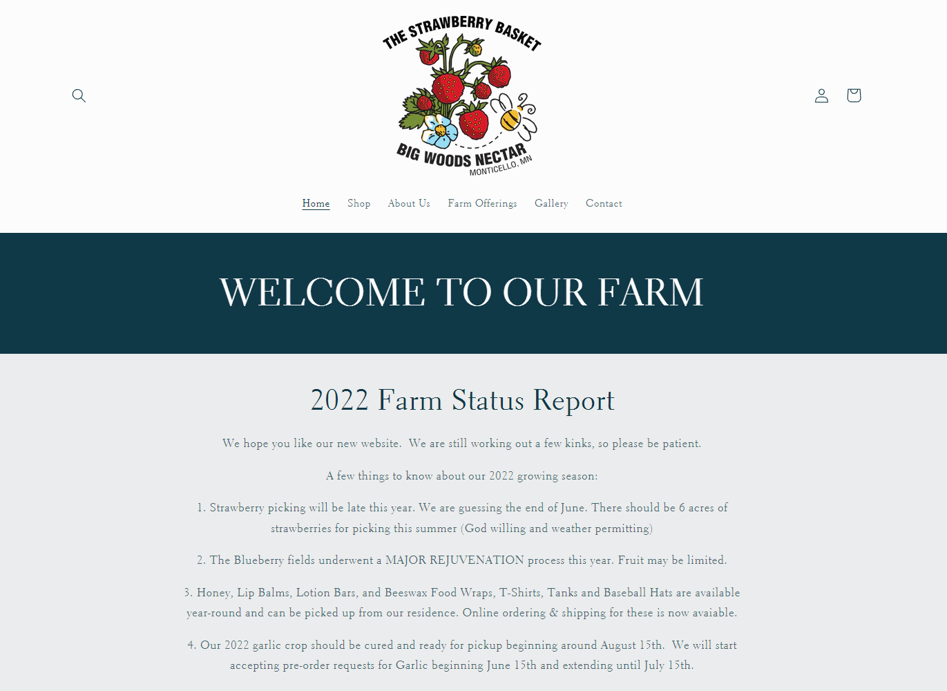 Strawberry Basket Website