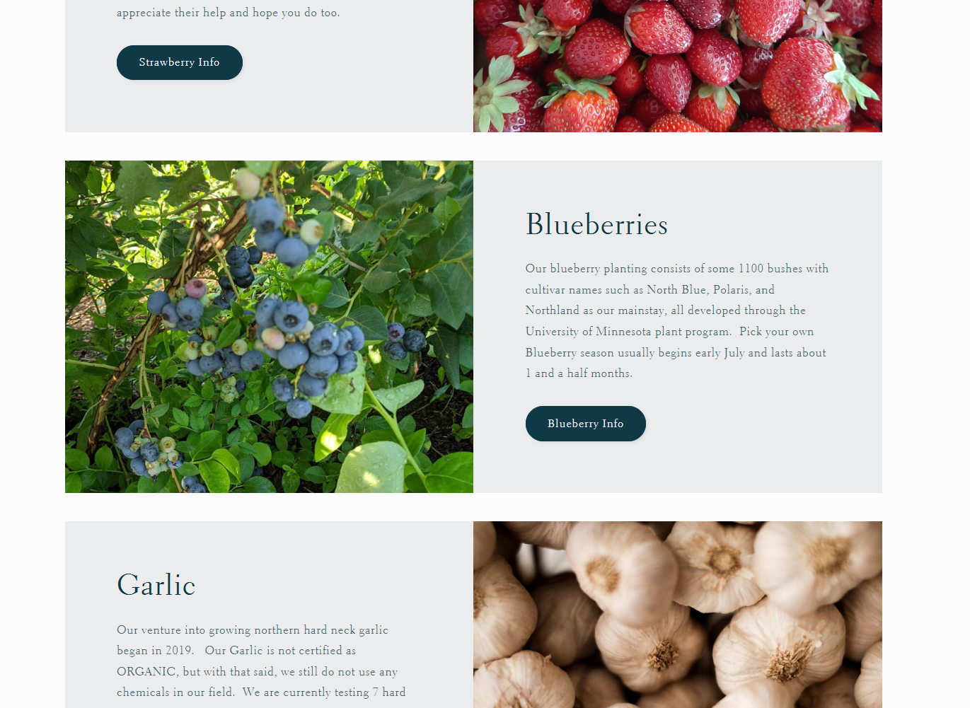 Strawberry Basket Website
